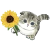 🐈 Эмодзи «MyCatsClub» для Telegram