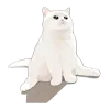 🐈 Эмодзи «MyCatsClub» для Telegram