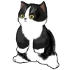 🐈 Эмодзи «MyCatsClub» для Telegram