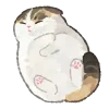 🐈 Эмодзи «MyCatsClub» для Telegram