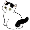 🐈 Эмодзи «MyCatsClub» для Telegram