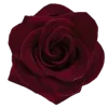 🌹 Эмодзи «Адель» для Telegram