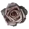 🌹 Эмодзи «Адель» для Telegram