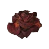 🌹 Эмодзи «Адель» для Telegram