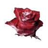 🌹 Эмодзи «Адель» для Telegram