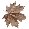 🍁 Эмодзи «Адель» для Telegram