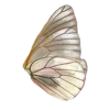 🦋 Эмодзи «Golden Pearl» для Telegram