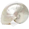 😋 Эмодзи «Golden Pearl» для Telegram