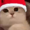 🥺 Эмодзи «Нг Мемы» для Telegram