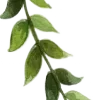 🌿 Эмодзи «Nature» для Telegram