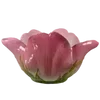 🌟 Эмодзи «Nature» для Telegram