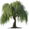🌳 Эмодзи «Nature» для Telegram