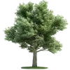 🤩 Эмодзи «Nature» для Telegram