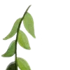 🌿 Эмодзи «Nature» для Telegram