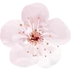 🌸 Эмодзи «Nature» для Telegram