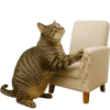 💺 Эмодзи «Непослушный кот» для Telegram
