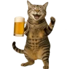 🍺 Эмодзи «Непослушный кот» для Telegram