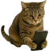 📱 Эмодзи «Непослушный кот» для Telegram