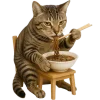 🍜 Эмодзи «Непослушный кот» для Telegram