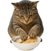 🍝 Эмодзи «Непослушный кот» для Telegram