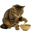 🍝 Эмодзи «Непослушный кот» для Telegram