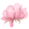 ❤️ Эмодзи «#decor #font #flowers» для Telegram