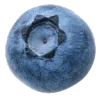 🔵 Эмодзи «𝗇𝖺𝗏𝗒 𝖻𝗅𝗎𝖾» для Telegram