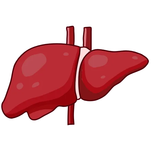 🩹 Эмодзи «Medicine emoji - пак медицинских иконок с органами» для Telegram