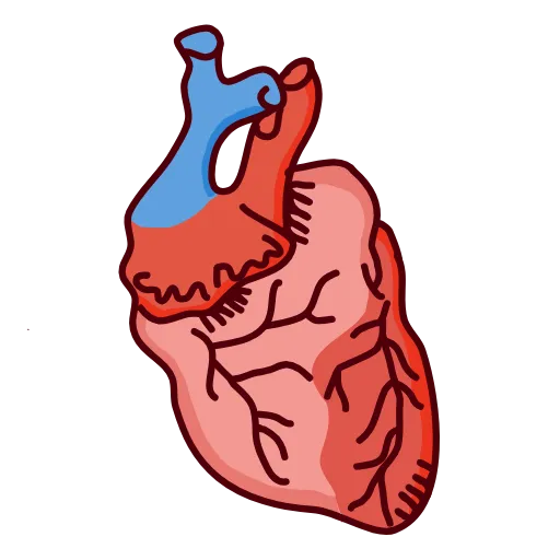 🫀 Эмодзи «Medicine emoji - пак медицинских иконок с органами» для Telegram