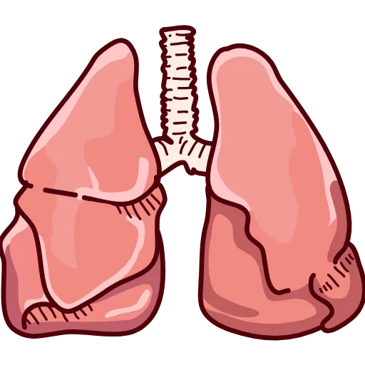 🫁 Эмодзи «Medicine emoji - пак медицинских иконок с органами» для Telegram