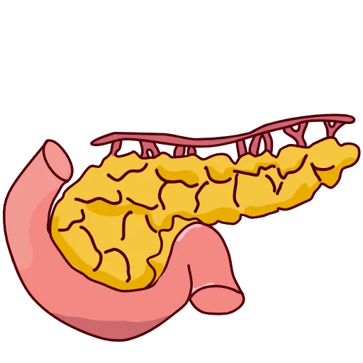 🩹 Эмодзи «Medicine emoji - пак медицинских иконок с органами» для Telegram