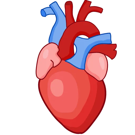 🫀 Эмодзи «Medicine emoji - пак медицинских иконок с органами» для Telegram