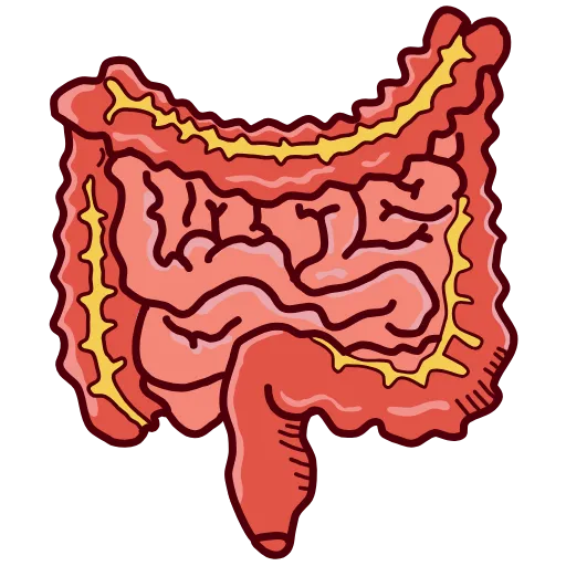 🩹 Эмодзи «Medicine emoji - пак медицинских иконок с органами» для Telegram