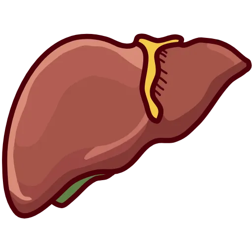 🩹 Эмодзи «Medicine emoji - пак медицинских иконок с органами» для Telegram
