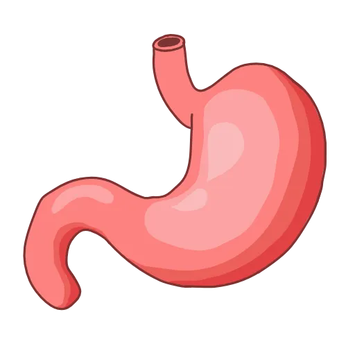 🩹 Эмодзи «Medicine emoji - пак медицинских иконок с органами» для Telegram