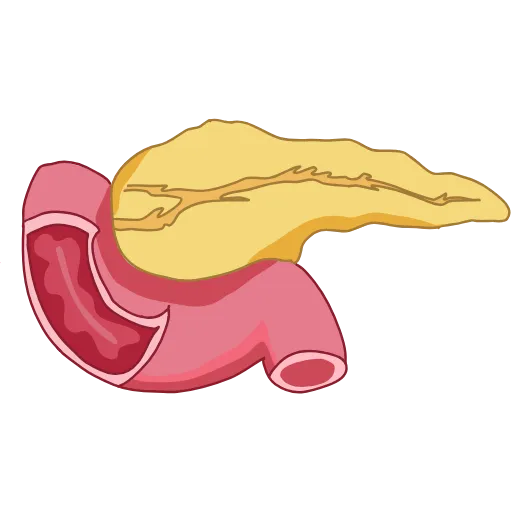 🩹 Эмодзи «Medicine emoji - пак медицинских иконок с органами» для Telegram