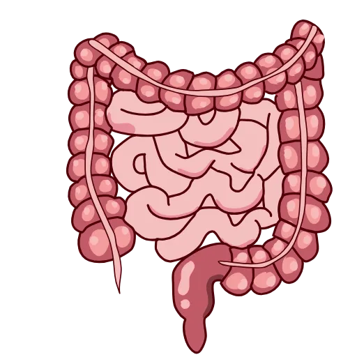 🩹 Эмодзи «Medicine emoji - пак медицинских иконок с органами» для Telegram