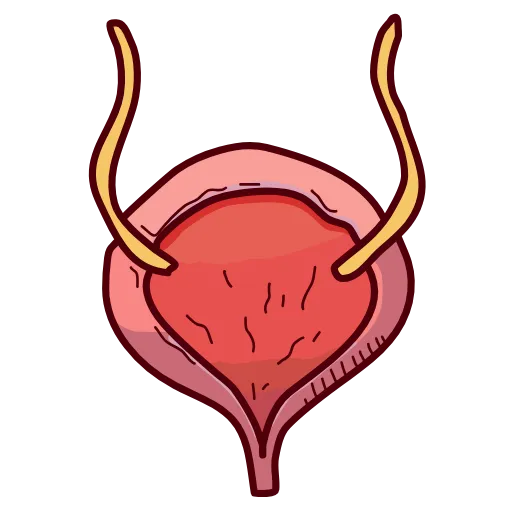 🩹 Эмодзи «Medicine emoji - пак медицинских иконок с органами» для Telegram
