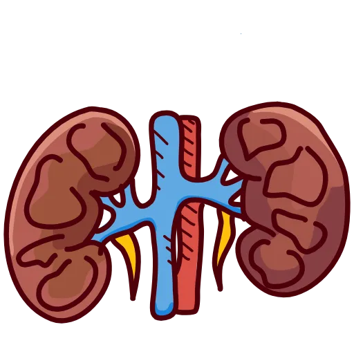 🩹 Эмодзи «Medicine emoji - пак медицинских иконок с органами» для Telegram