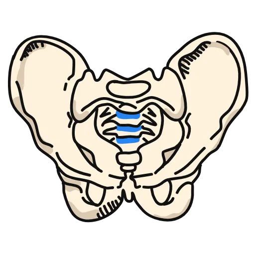 🦴 Эмодзи «Medicine emoji - пак медицинских иконок с органами» для Telegram