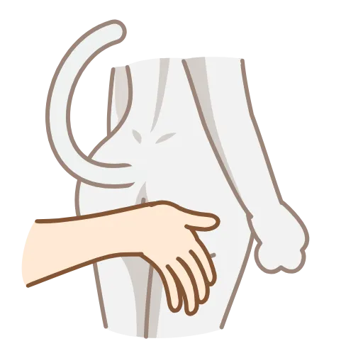 🍑 Эмодзи «Neko Waifu» для Telegram