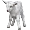 🐑 Эмодзи «World Is Not» для Telegram