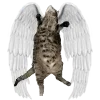 🐈‍⬛ Эмодзи «World Is Not» для Telegram