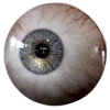 👁 Эмодзи «World Is Not» для Telegram