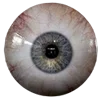 👁 Эмодзи «World Is Not» для Telegram