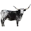 🐄 Эмодзи «World Is Not» для Telegram