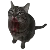 🐈‍⬛ Эмодзи «Wake Up» для Telegram