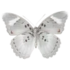 🦋 Эмодзи «Wake Up» для Telegram