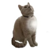 🐈 Эмодзи «Wake Up» для Telegram