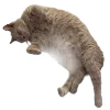 🐈 Эмодзи «Wake Up» для Telegram